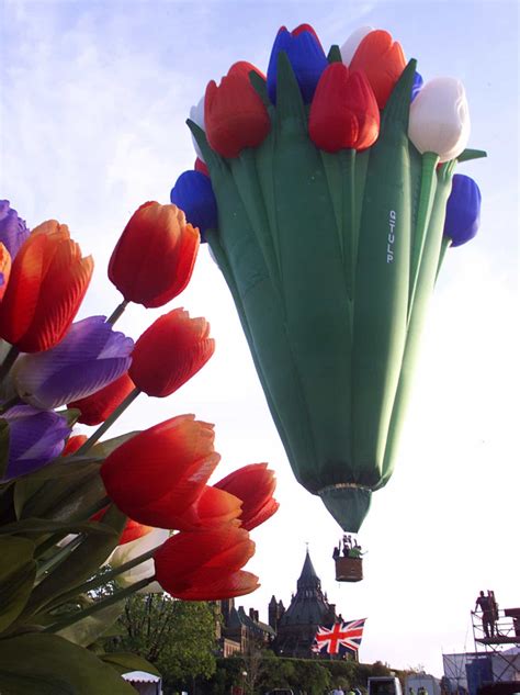 Impressively unique hot air balloons