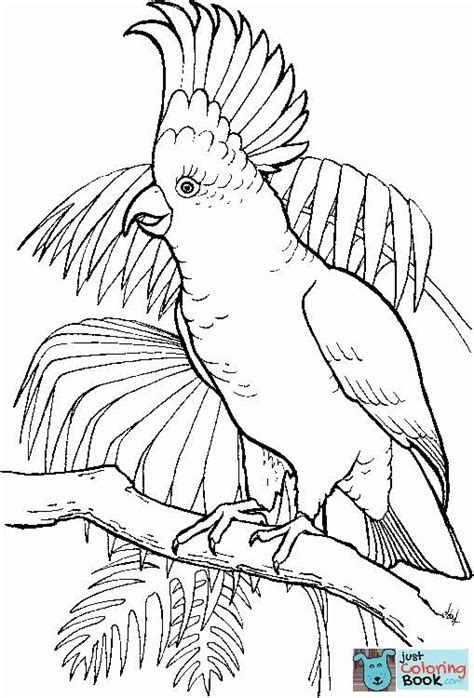 Sulfur Crested Cockatoo Coloring Page Free Printable Coloring Pages Regarding Major Mitchell039s ...