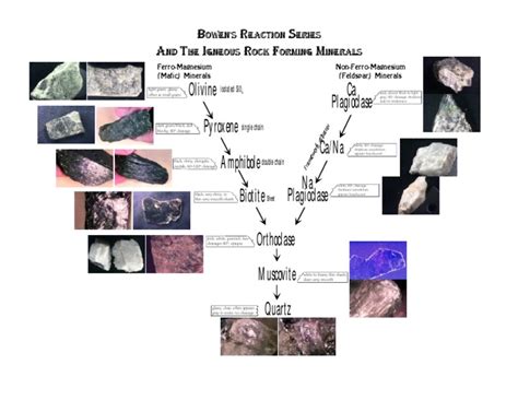 Bowen's Reaction Series.pdf | Minerals | Rocks