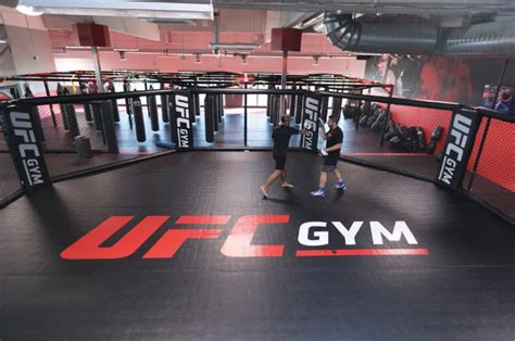 UFC Gym Membership Cost 2024