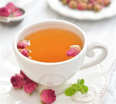 Easy Rose Hip Tea Recipe to Help You Relax – Earth to Kathy