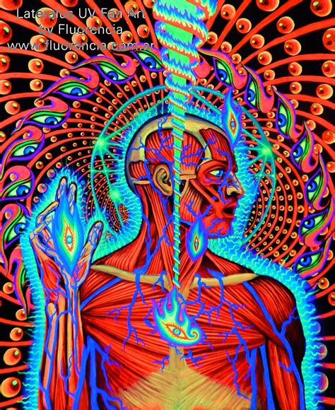 Tool Lateralus cover art UV Fan Art | Lateralus es la tapa d… | Flickr