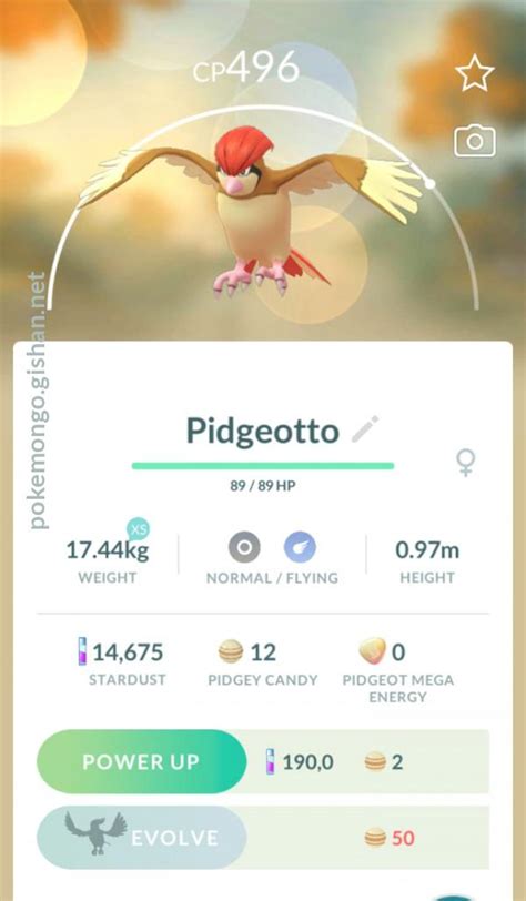 Pidgeotto - Pokemon Go