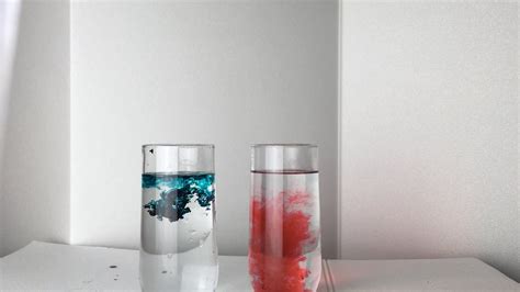 What is Diffusion? Try this ECHO Science Spotlight experiment at home.