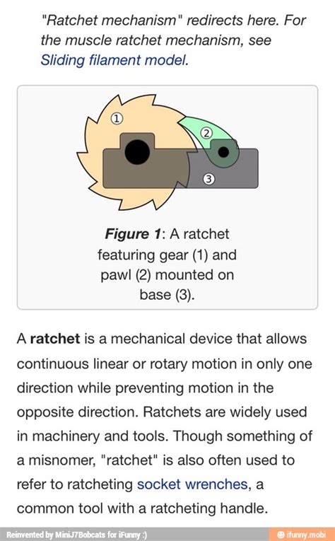 "Ratchet mechanism" redirects here. For the muscle ratchet mechanism ...