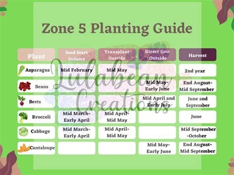 Zone 5 Planting Guide - Etsy