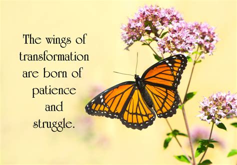 Butterfly Rebirth Quotes. QuotesGram