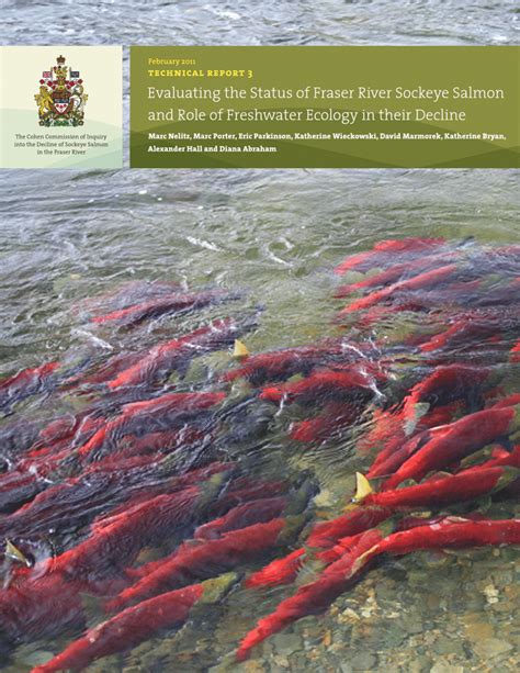 (PDF) Evaluating the status of Fraser River sockeye salmon and role of ...