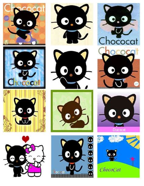 CHOCOCAT magnets 12 Glossy | Etsy