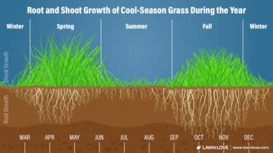 Hydroseeding: How to Spray Grass Seed on Your Lawn