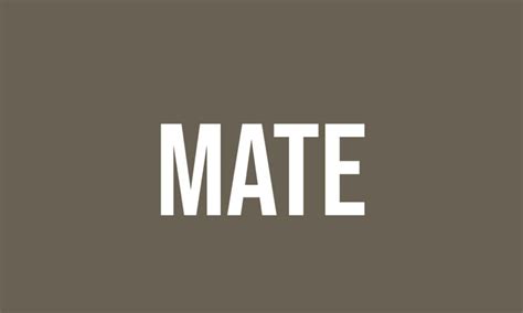 What Does Mate Mean? - Meaning, Uses and More - FluentSlang