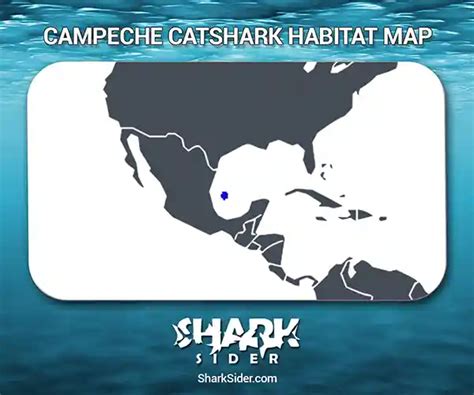 Campeche Catshark – Facts, Size, Behavior, Diet, Pictures