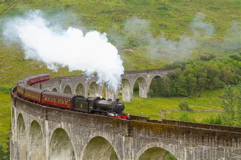 Stag brings train to standstill on ‘Harry Potter bridge’ by running along Glenfinnan Viaduct ...