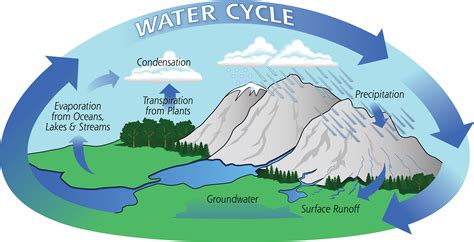 The Water Cycle | Precipitation Education