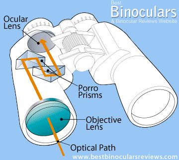 Binocular Glossary