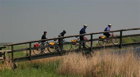 Holland - Amsterdam Tulip Tour - Cycling Safaris