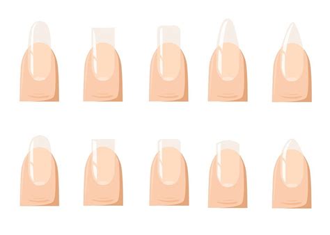 Different nail shapes | Different nail shapes, Nail shapes, Types of nails