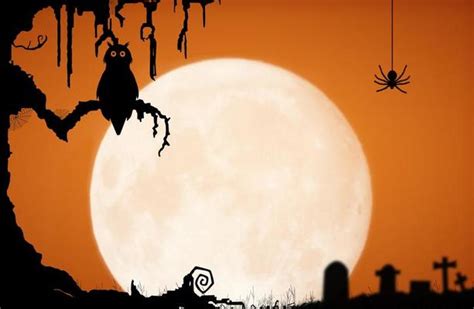 Halloween Moon Stock Photos, Images and Backgrounds for Free Download