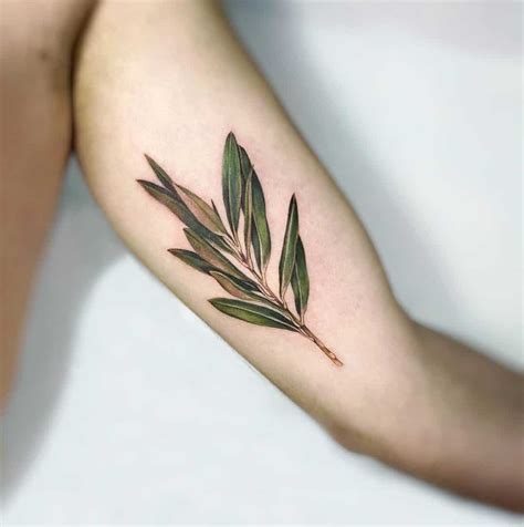 Olive Tree Branch Tattoo