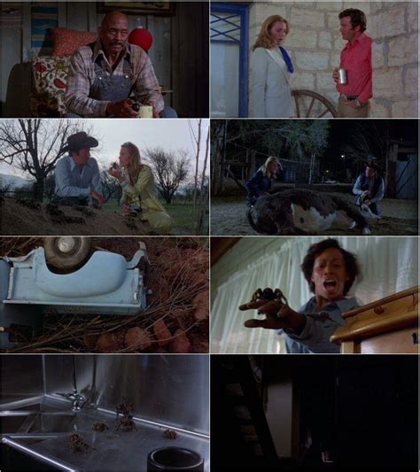 BRRip Movies: Kingdom of the Spiders (1977) [BRRip 720p]