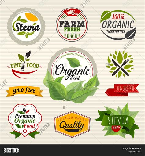 Organic Food Stevia Vector & Photo (Free Trial) | Bigstock