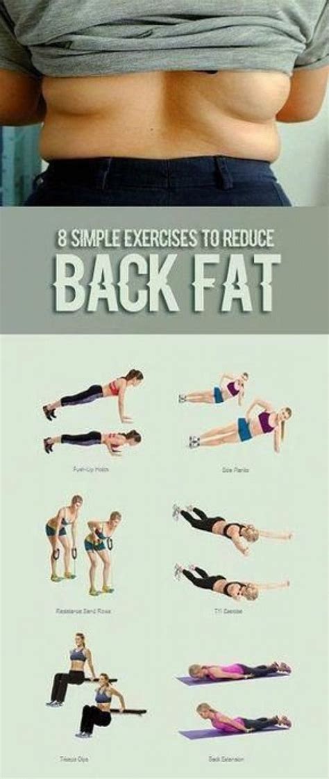 List Of Burn Belly Fat Exercises At Home 2022 - ucetardal