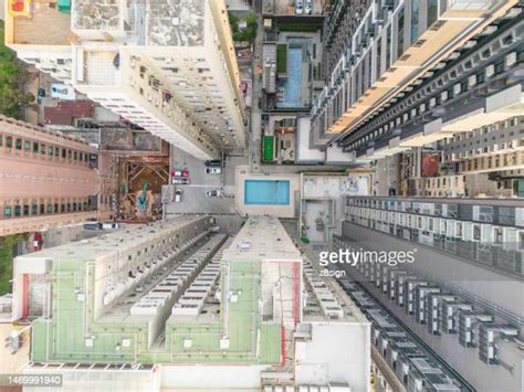 162 Kowloon Park Swimming Pool Stock Photos, High-Res Pictures, and Images - Getty Images