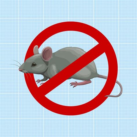 7 Best Mouse Repellents of 2023: Plug-In, Ultrasonic, Spray and More