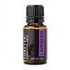 Essential Oils Defense Blend | Forever Living Products USA - Canada