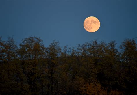 What Is The Spiritual Meaning Of The Hunter's Moon? An Astrologer Explains