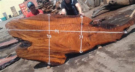 Redwood Burl Slabs | Ethically Sourced Woods