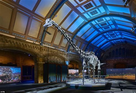 Dippy the Dinosaur is BACK! Britain's best-loved dino skeleton returns to Natural History Museum ...