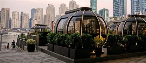 The Pods Dubai on Bluewaters Island: Prices, Timings & More - MyBayut