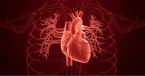 Fluid around the Heart: Causes & Treatment