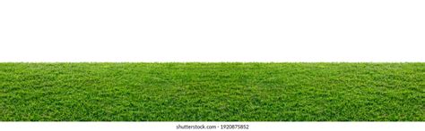 Grass Field Stock Photos and Pictures - 8,563,717 Images | Shutterstock