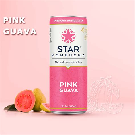 Star Kombucha Tea, Pink Guava, Probiotic Drink 100% Natural Ingredients ...