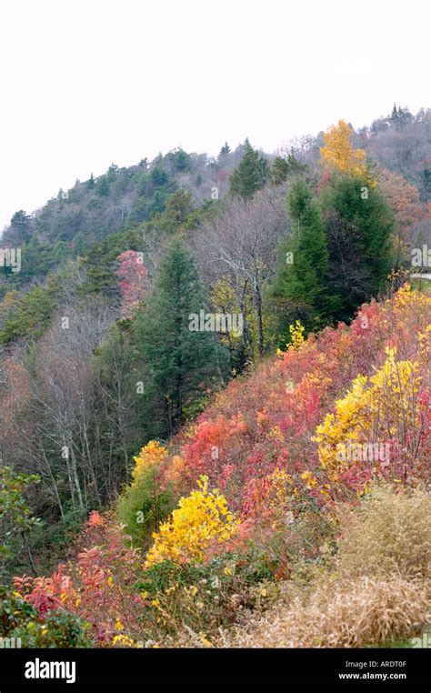 Fall in the Blue Ridge Stock Photo - Alamy