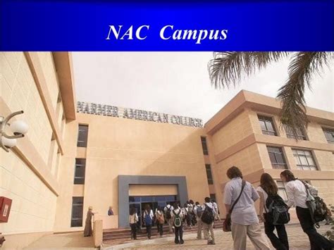 Narmer American College In A Glance