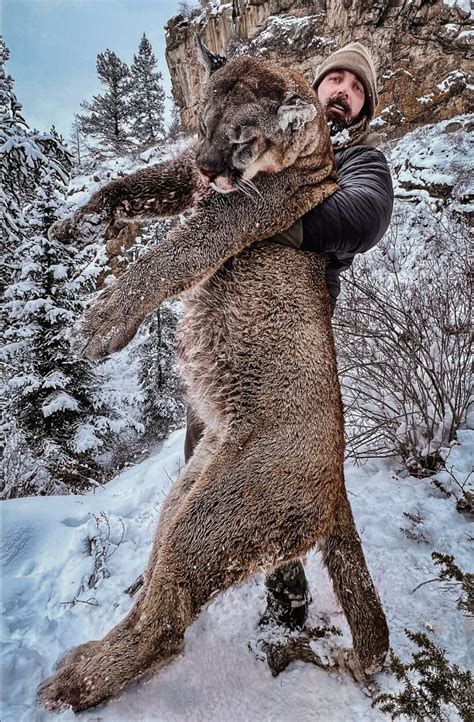 Full Story: How Derek Wolfe Killed a Dog-Hunting Mountain Lion