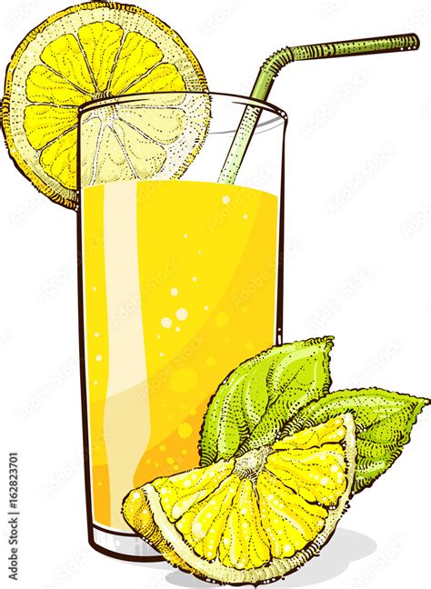 A glass of lemonade with pieces of lemon. Vector drawing. Stock Vector ...