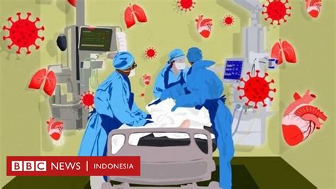 Apa Itu Virus Corona Dan Bagaimana Bisa Sampai Ke Manusia Mastimon Com | Sexiz Pix