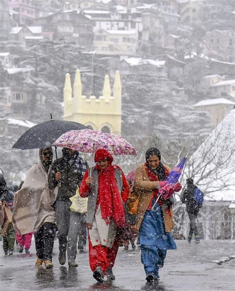 Winter Wonderland! Shimla receives season's first snowfall - Rediff.com India News