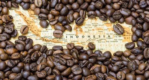 The 5 Best Indonesian Coffee Brands - DrinkStack