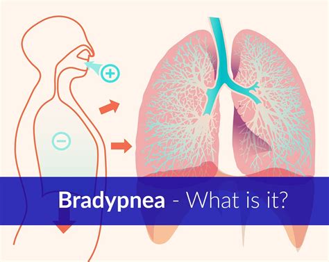 Bradypnea - What is it, Definition, Symptoms, Causes, Treatment