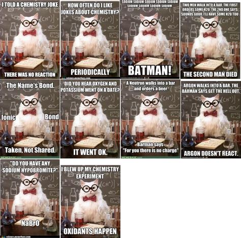 Chemistry Cat Meme