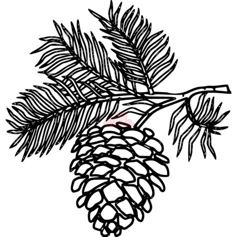 Free Pine Cone Clip Art - ClipArt Best