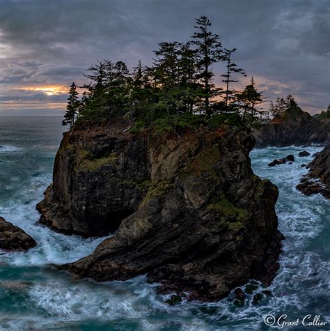 Trees atop Sea Stacks in Samuel H Boardman State Park, Oregon