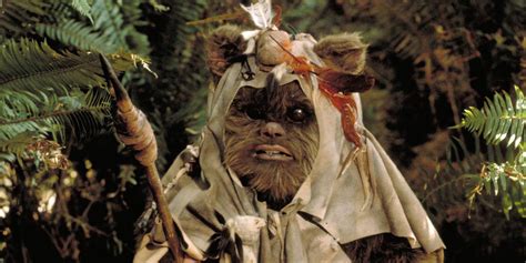 Star Wars: 15 Things You Didn't Know About Ewoks | ScreenRant