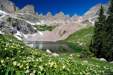 Willow Lake Wildflowers | Eagles Nest Wilderness, Gore Range, Colorado | Mountain Photography by ...