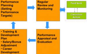 Human Capital Metrics vs. Human Resource Metrics - Scorecard Metrics for HR